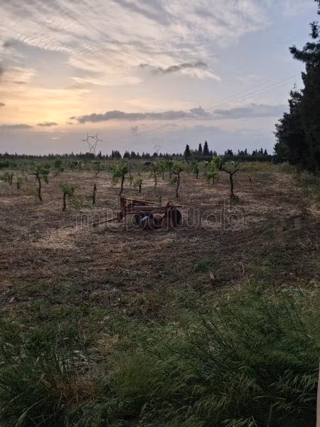 Belle emplacement Terrains morneg