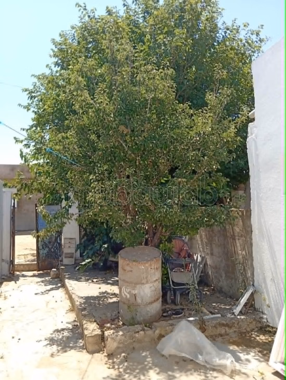 Maison arab a dar allouch seuelement a 65mdt