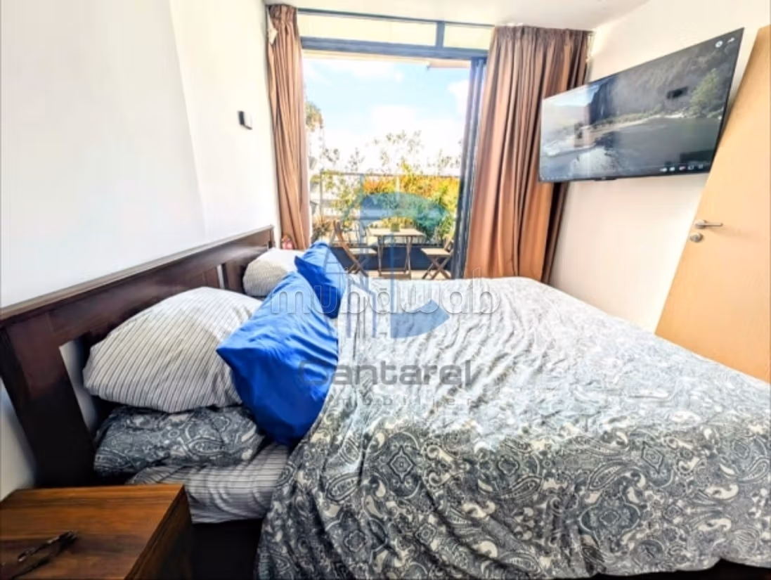 Location appartement vide palmier