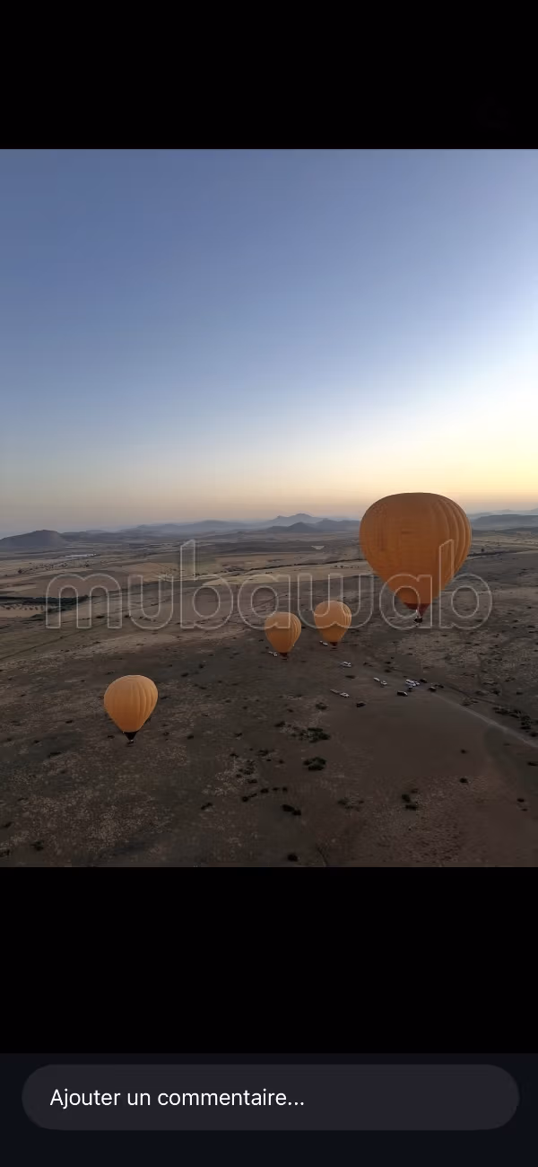 Vente de terrain à Bourrous. Surface de 15000 m²