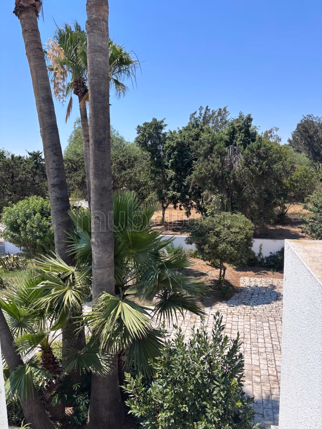 Villa di charme a Soukra parco in affitto