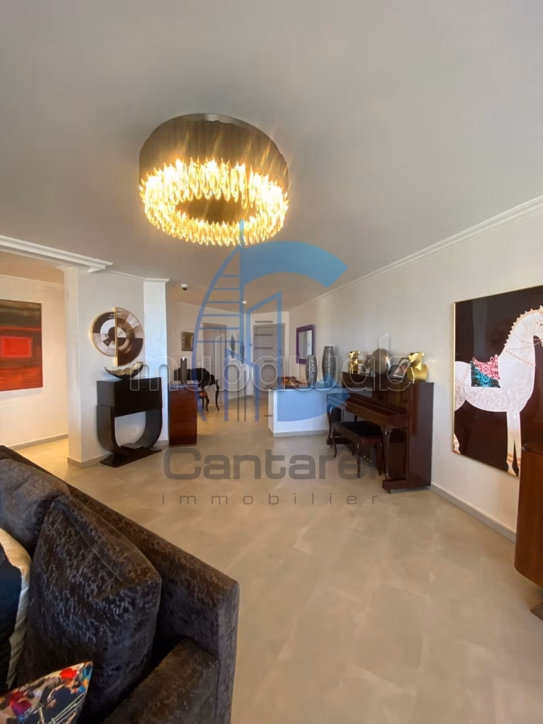 Vente magnifique villa ain diab