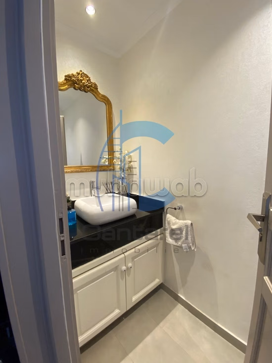 Vente magnifique villa ain diab