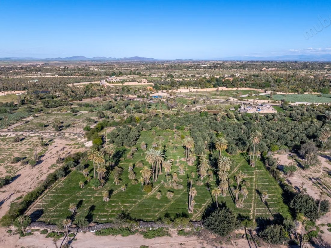 Marrakech I Palmeraie