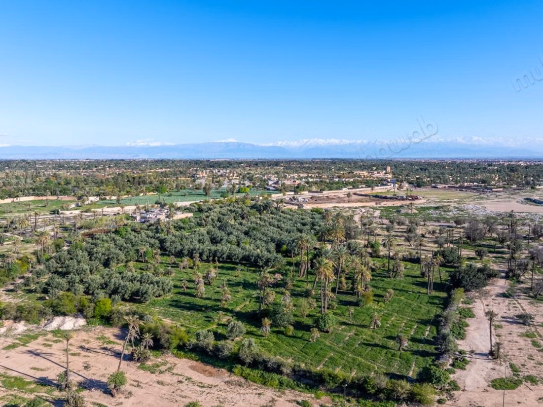 Marrakech I Palmeraie