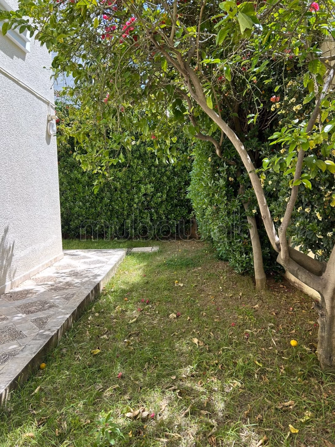Villa à vendre à la Marsa les pins