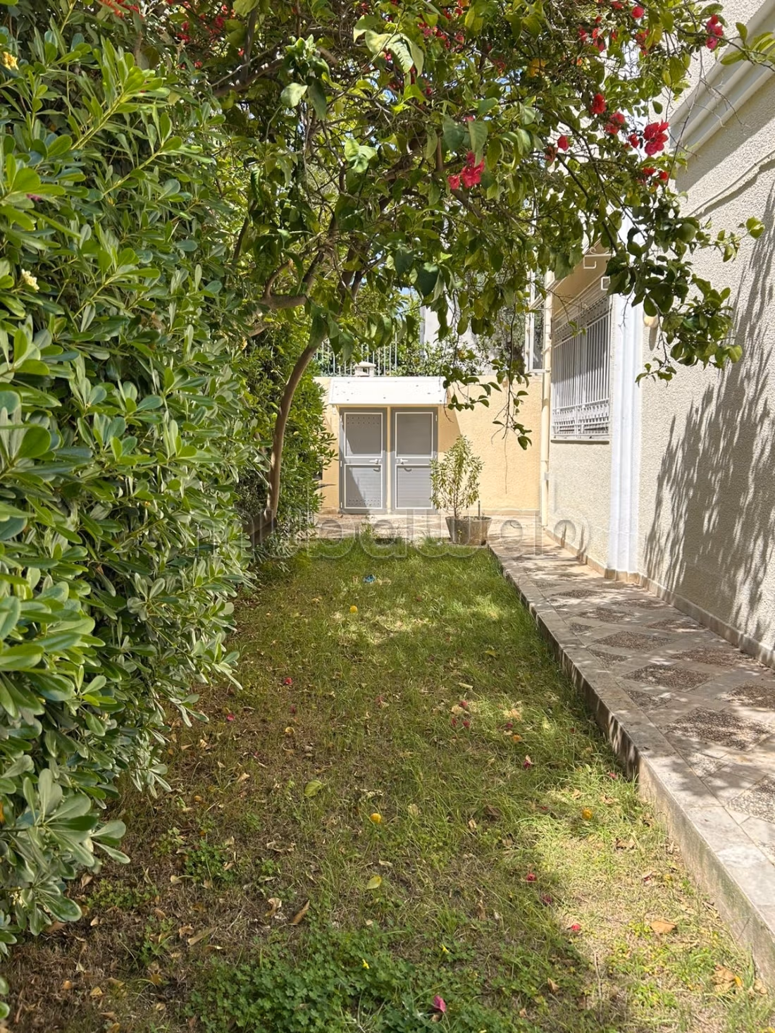 Villa à vendre à la Marsa les pins