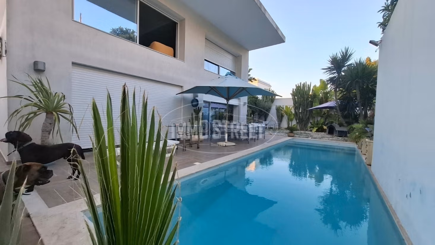 FOR RENT, Magnificent Villa S4 with Pool – Sidi Bou Saïd