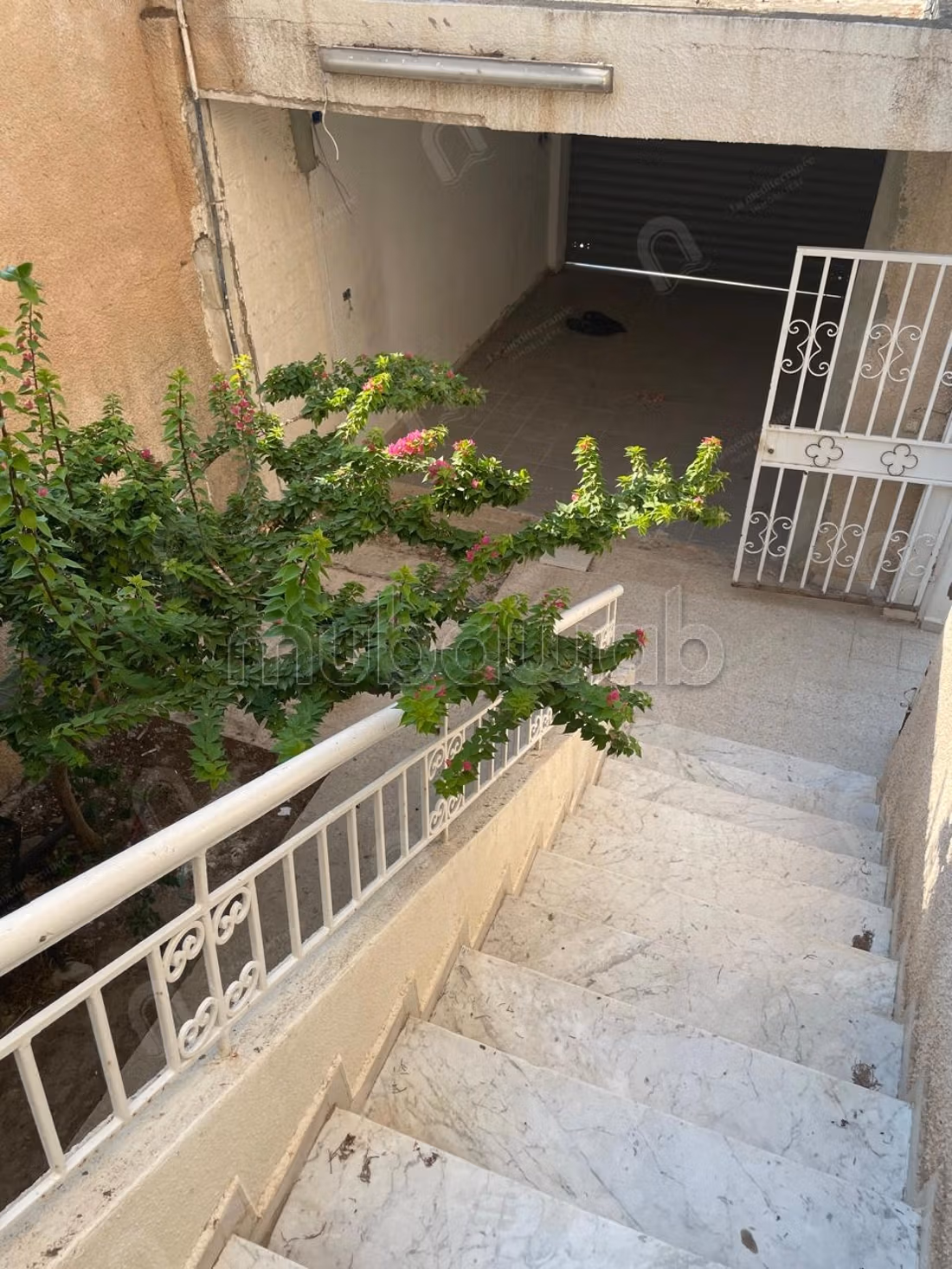 For rent a 2S4 duplex in Bardo