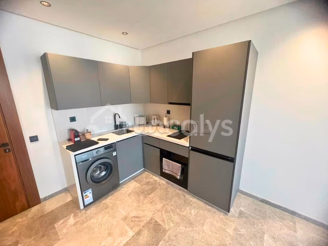 Furnished studio 45 m new for rent Oasis