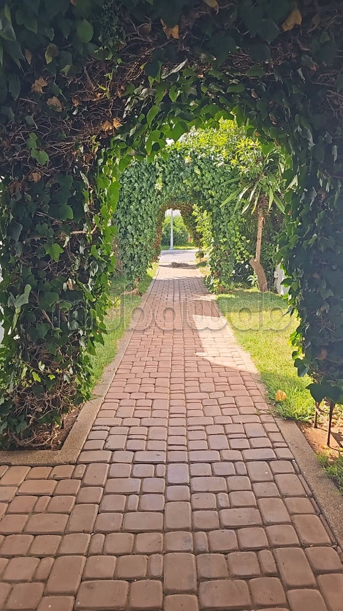 Location empty villa with swimming pool in Ain Diab