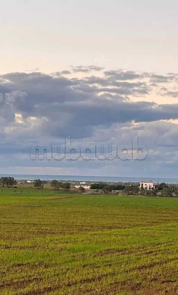 Terreno in vendita a dar bouazza – vista mare