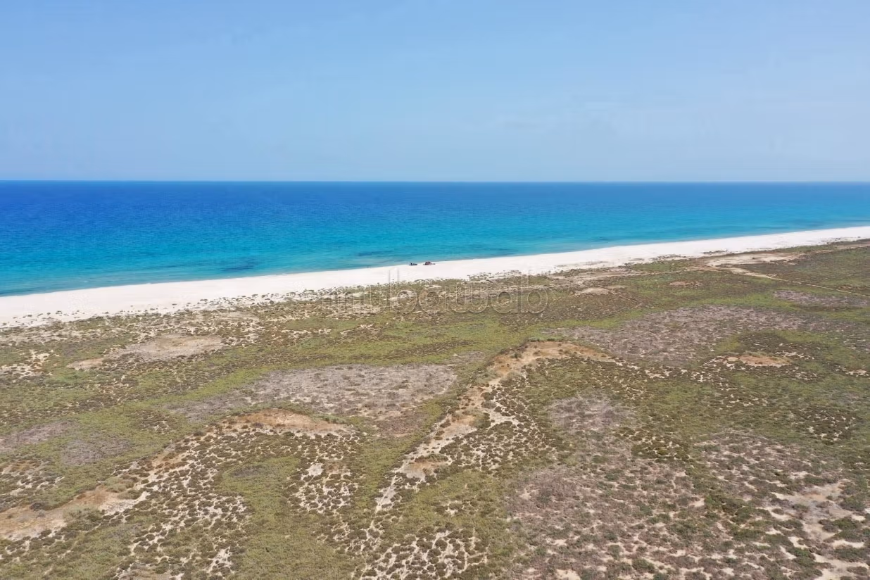 Vente de terrain. Surface de 9000 m²