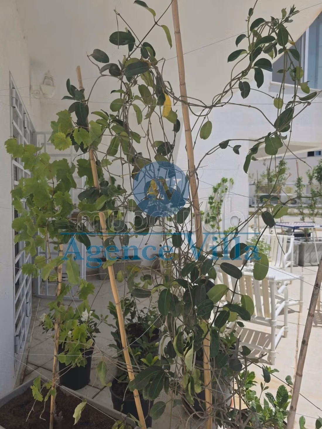In affitto: appartamento S3 arredato con vista lago