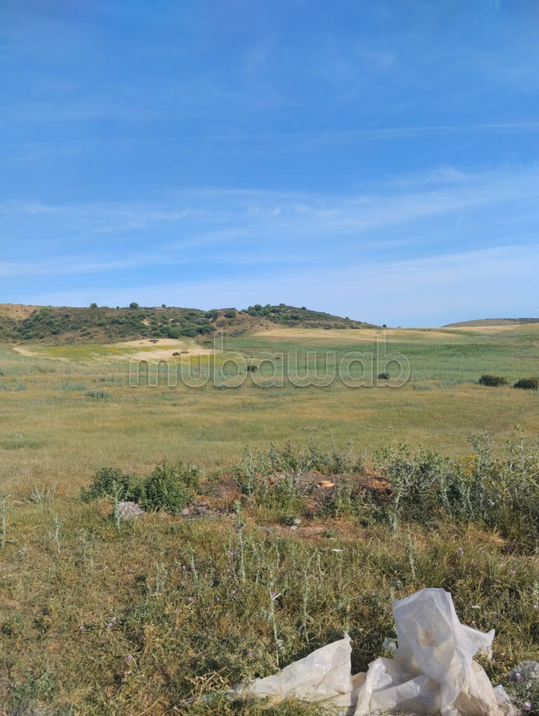 Granja en venta en El Menzla. Superficie total de 85,000 m². Garaje