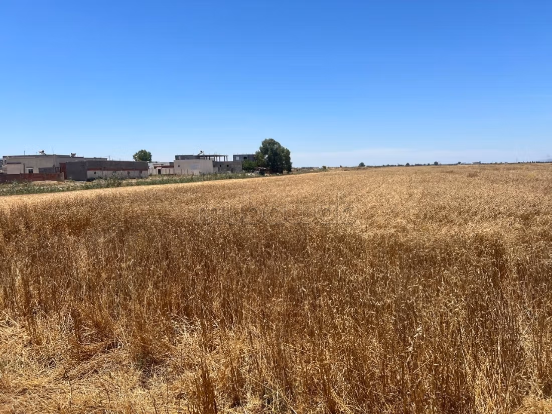 A Vendre Terrain Agricole à Sidi Thabet