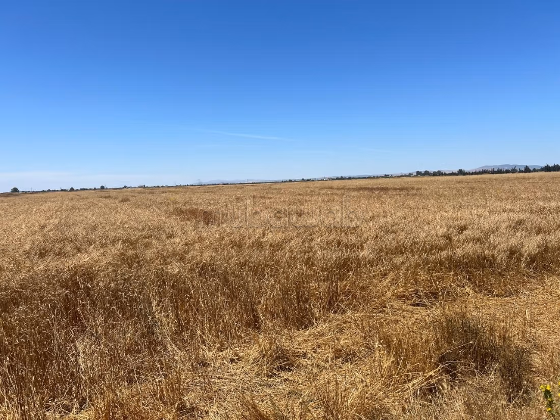 A Vendre Terrain Agricole à Sidi Thabet