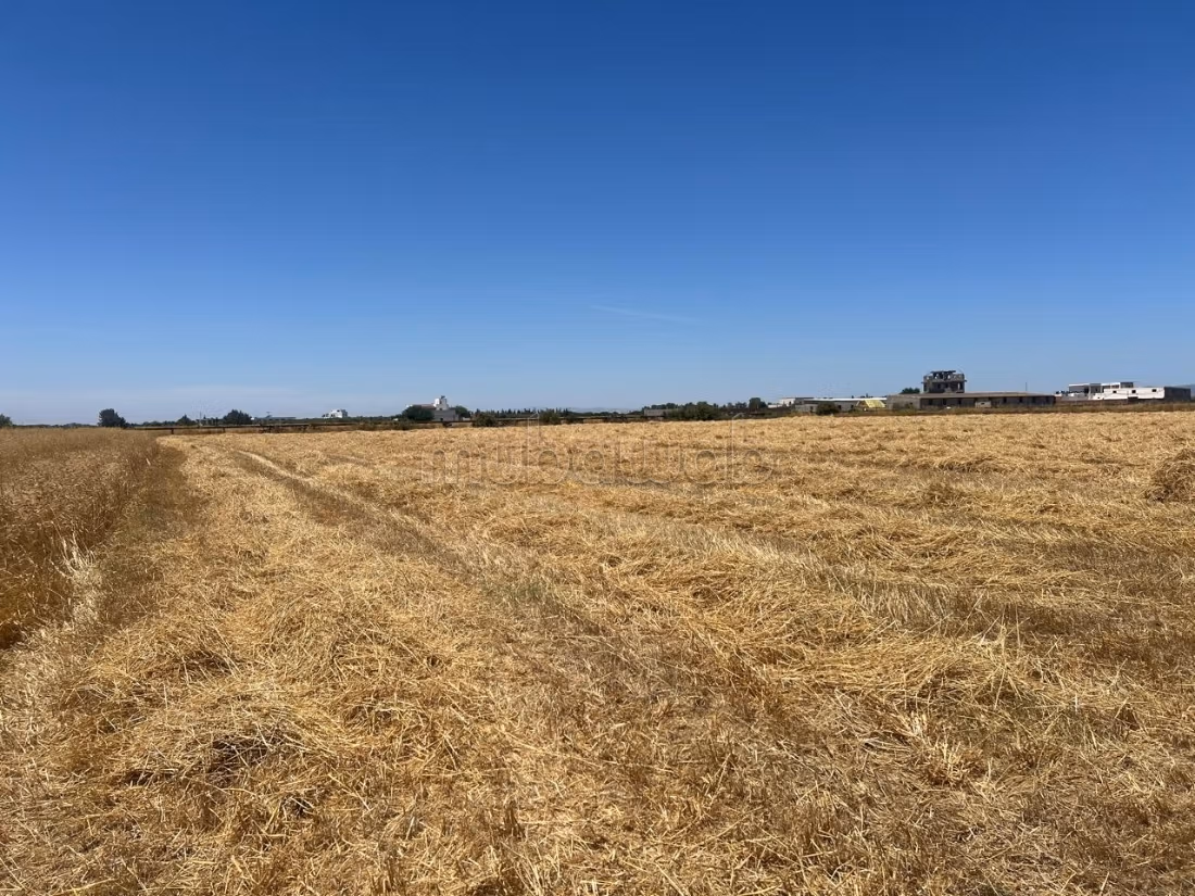 A Vendre Terrain Agricole à Sidi Thabet
