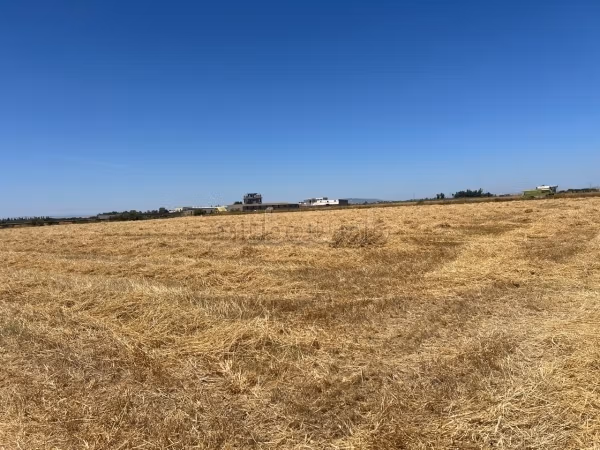A Vendre Terrain Agricole à Sidi Thabet