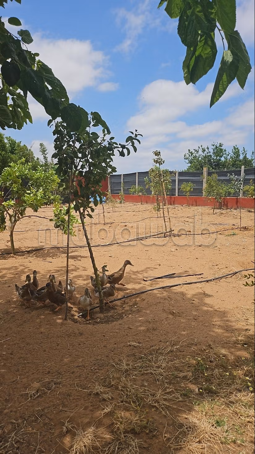 Granja en Al Aarjat