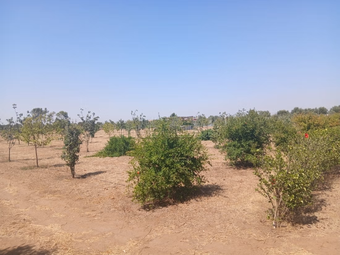Superbe terrain titré 13 654 m² Ziaida Benslimane