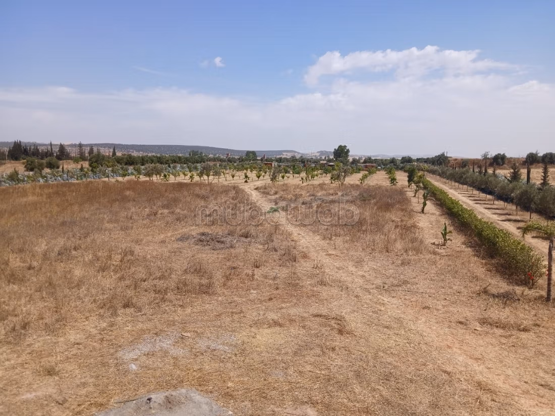 Superbe terrain titré 13 654 m² Ziaida Benslimane