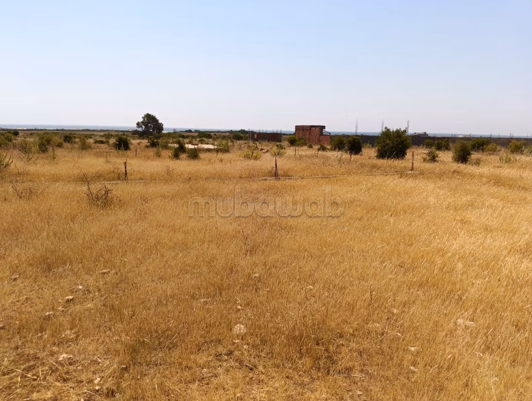 أرض بشاطئ المركب بمنزل تميم