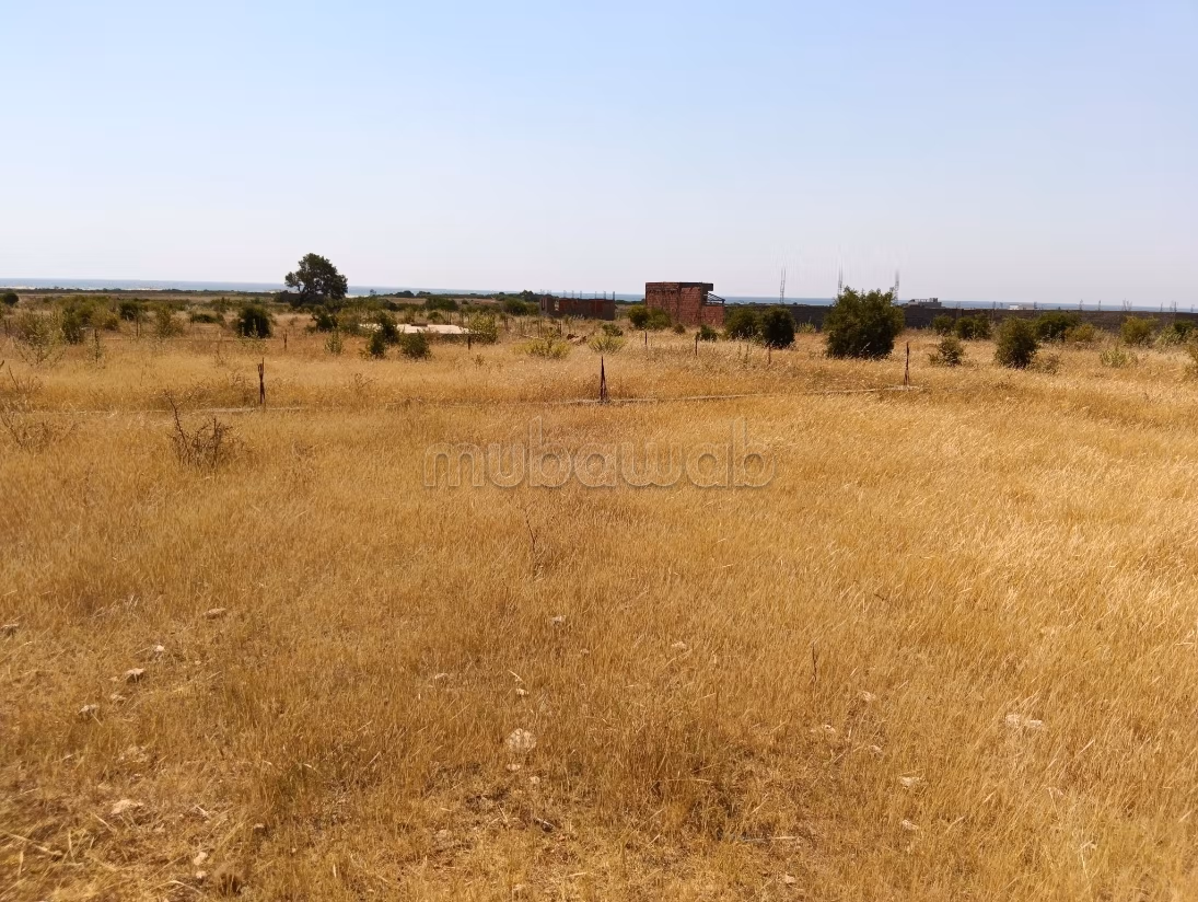 أرض بشاطئ المركب بمنزل تميم