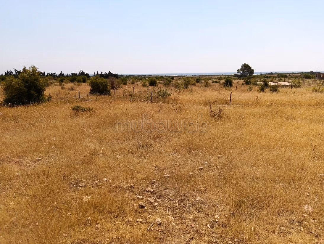 أرض بشاطئ المركب بمنزل تميم