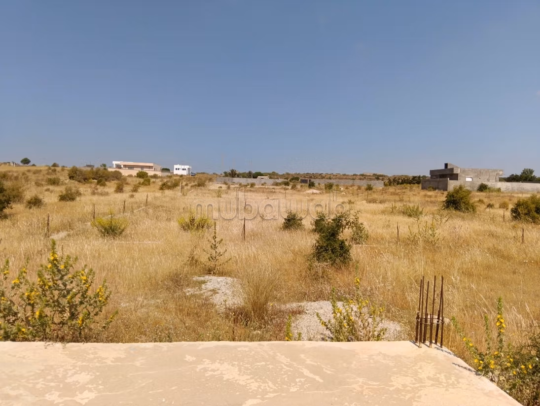 أرض بشاطئ المركب بمنزل تميم