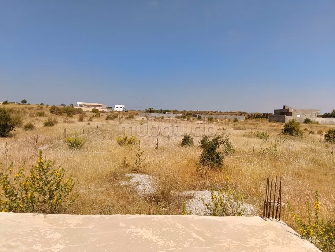 أرض بشاطئ المركب بمنزل تميم