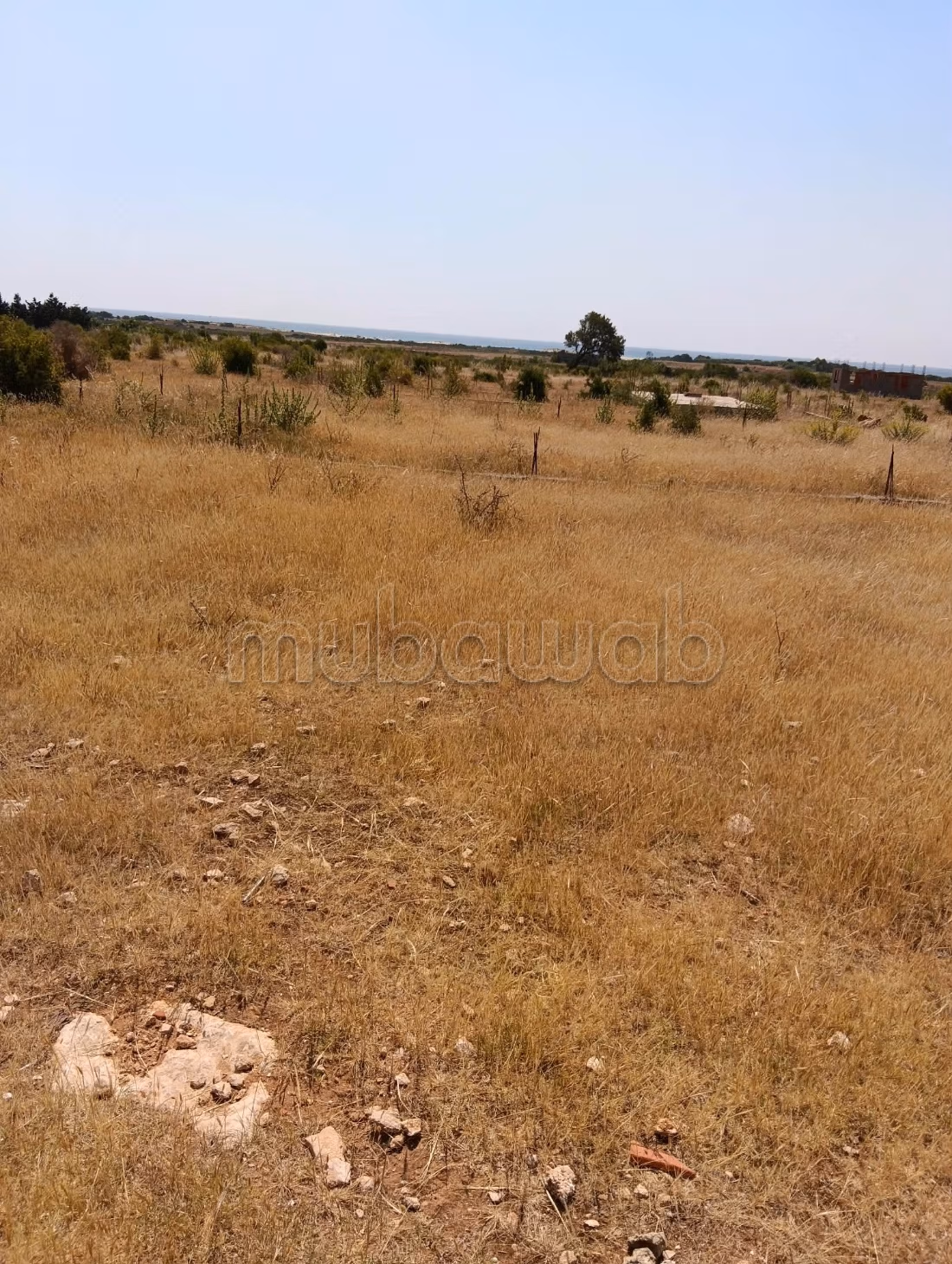 أرض بشاطئ المركب بمنزل تميم