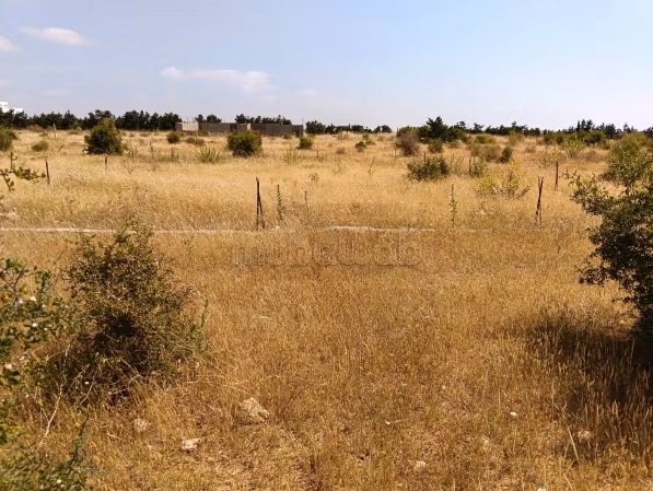 أرض بشاطئ المركب بمنزل تميم