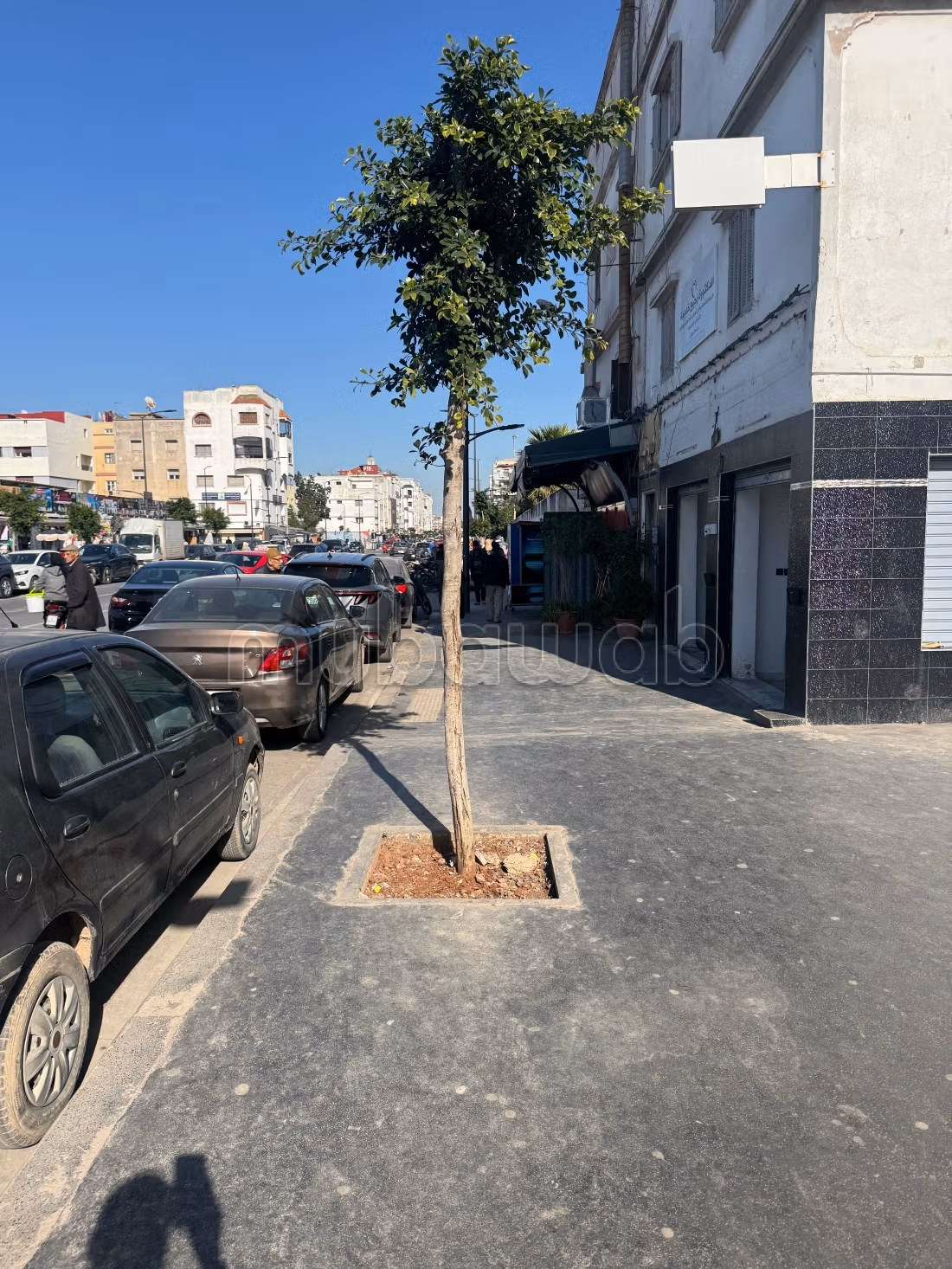Commercial premises for rent / Total area 33 m²