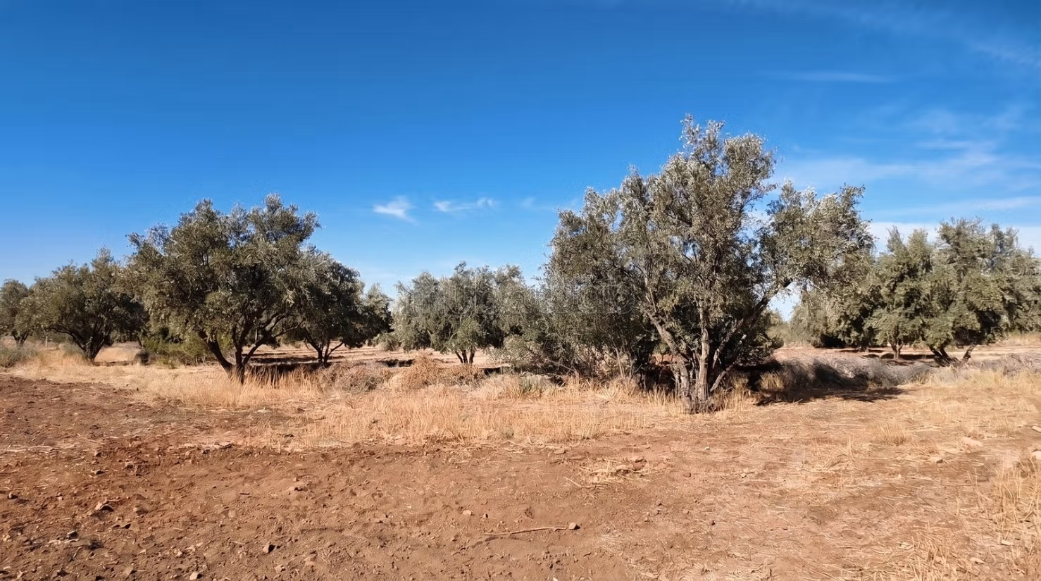 Registered Land 744m² Villa Zone Ourika Road