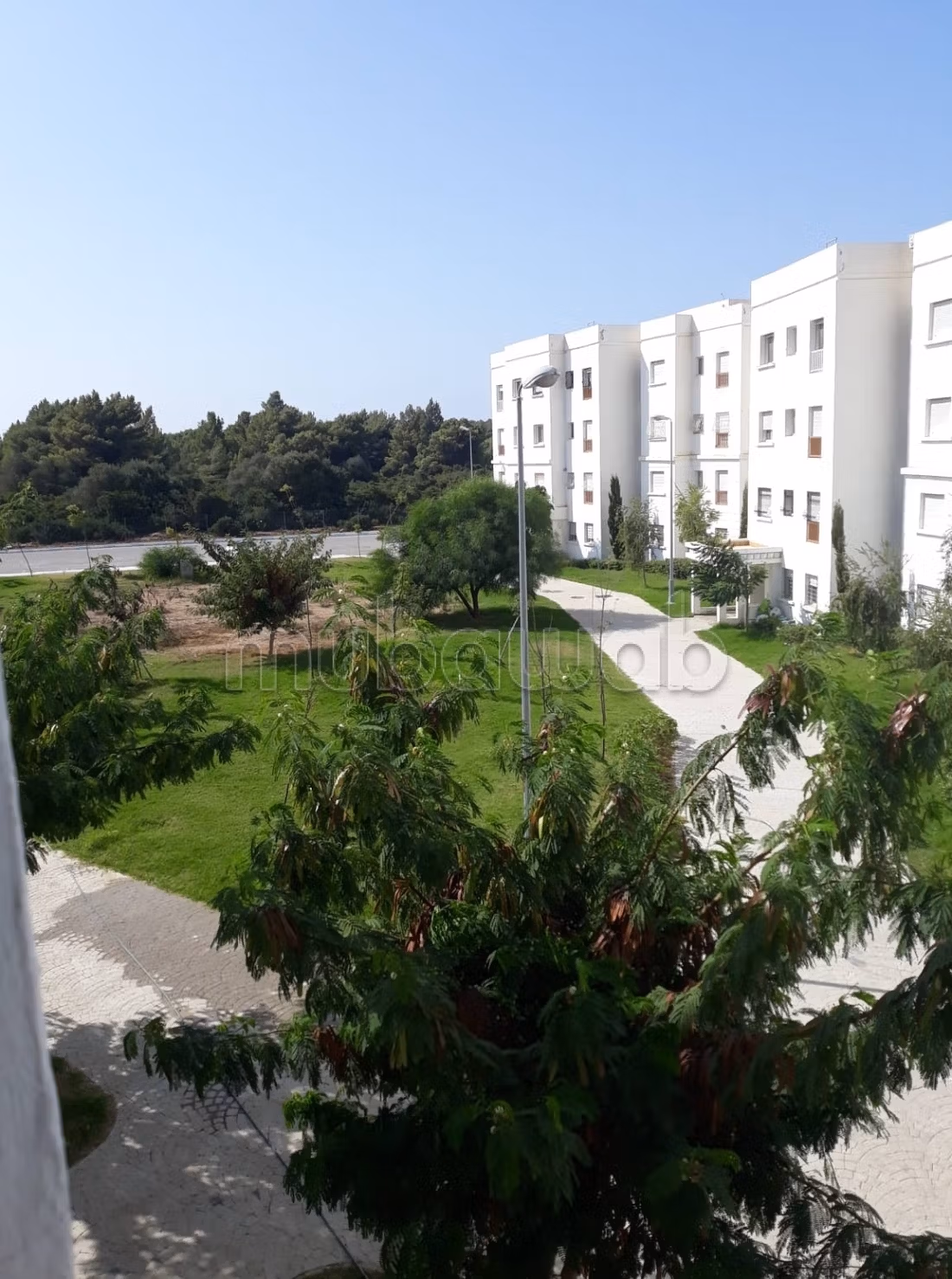 Appartement CHU Foret DIplomatique