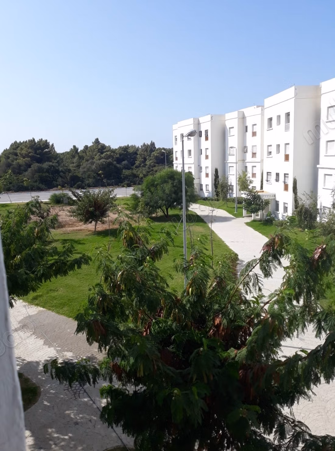 Appartement CHU Foret DIplomatique