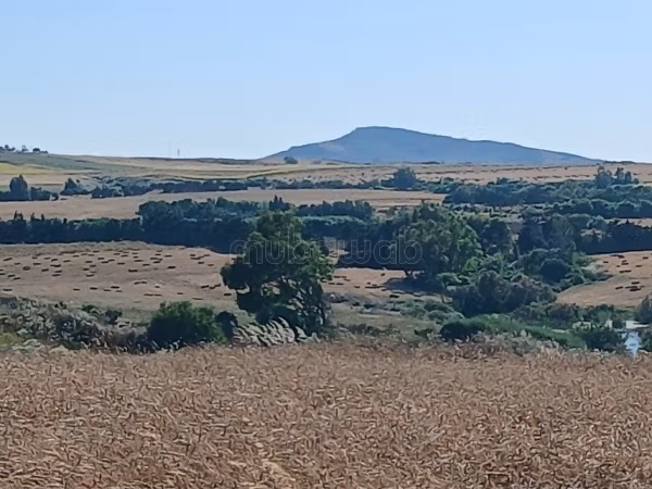 Azmour kelibia