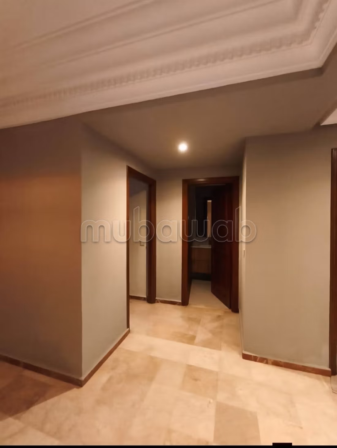 Bel appartement spacieux et ensoleillé à louer — 4