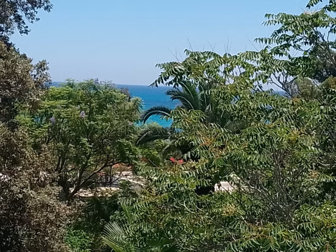 Summer rental in Hammamet, sea view with private beach access