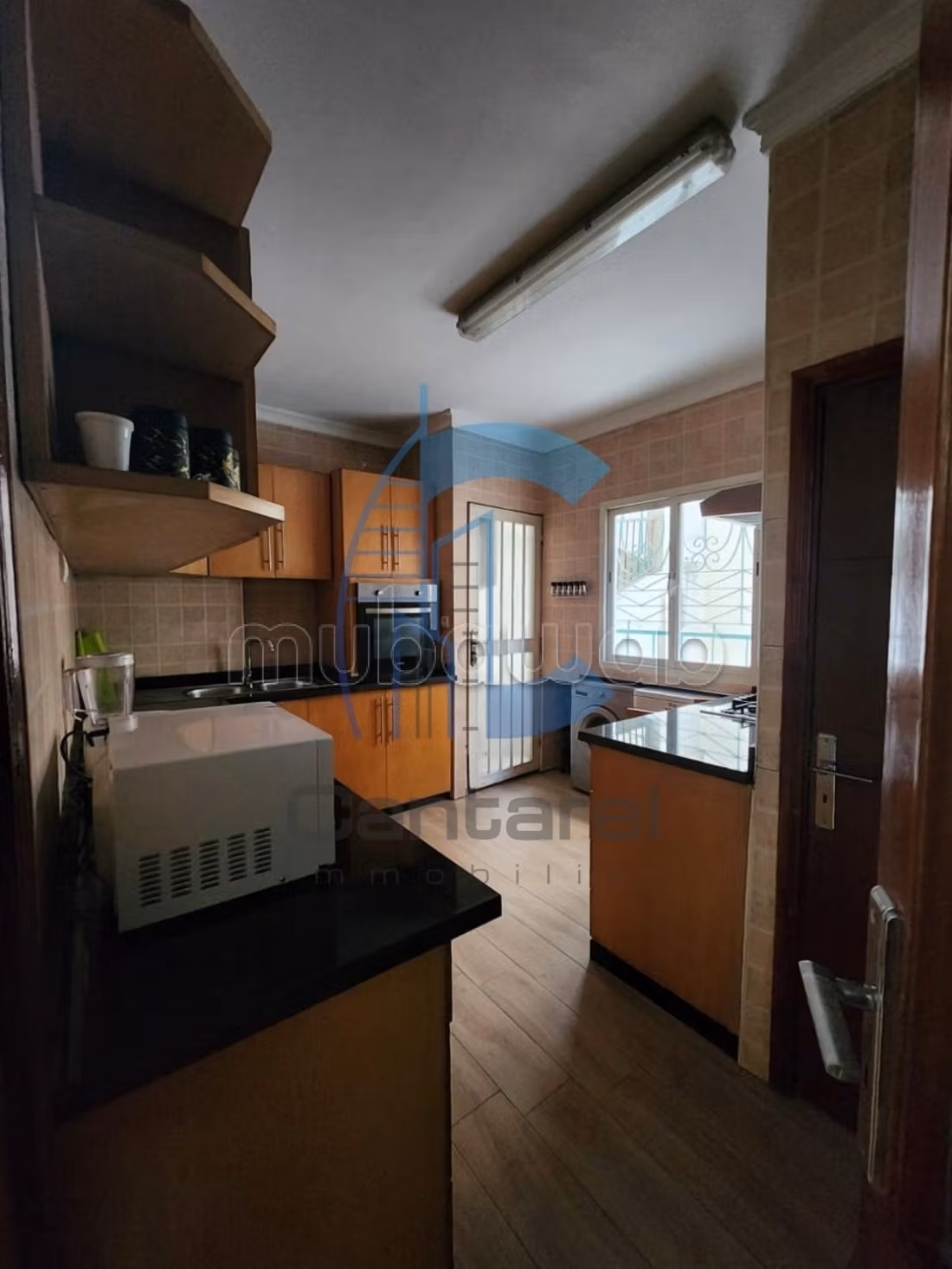 Location appt vide palmier