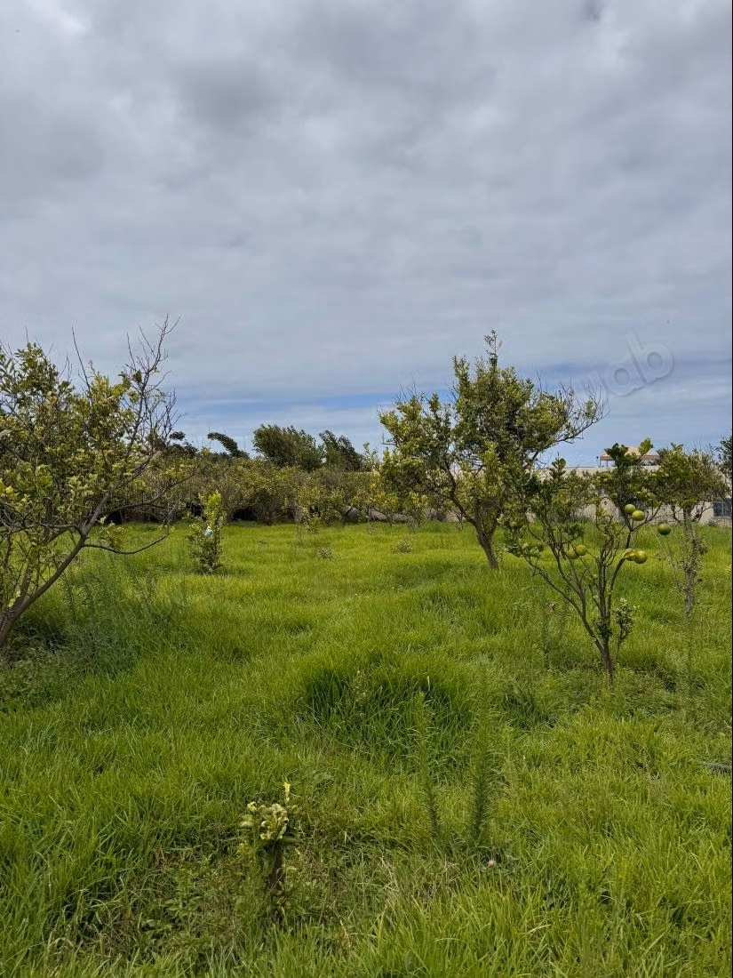 Granja con Casa Oualidia 4531m² vista océano