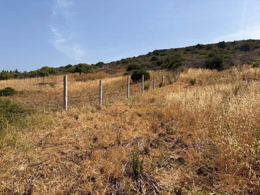 Terreno en venta Sidi Khenchouch, entrada Malouza a 500m de la carretera regional, con un área de 3600m², titulado