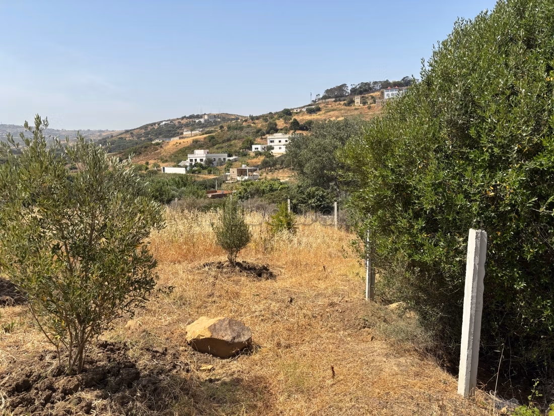 Terreno en venta Sidi Khenchouch, entrada Malouza a 500m de la carretera regional, con un área de 3600m², titulado