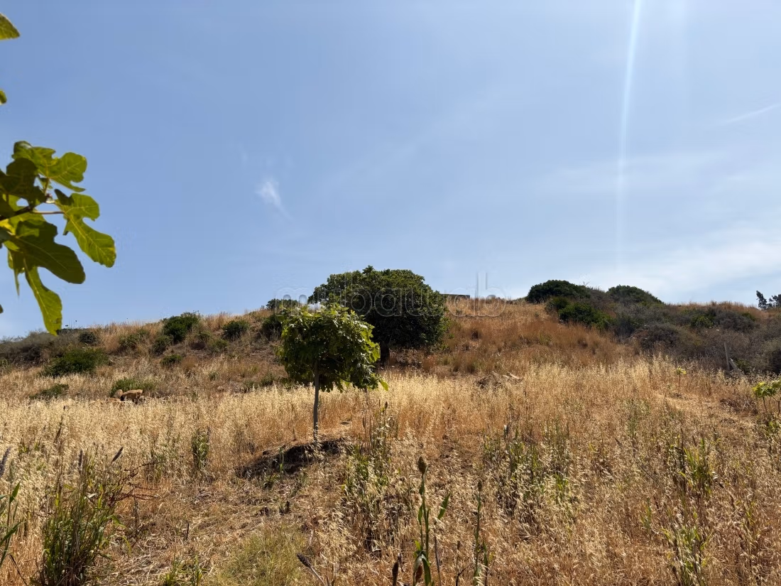 Terreno en venta Sidi Khenchouch, entrada Malouza a 500m de la carretera regional, con un área de 3600m², titulado