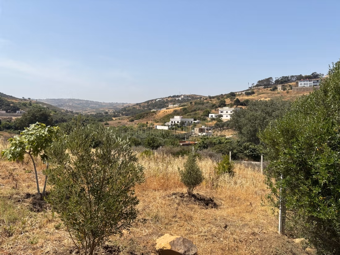 Terreno en venta Sidi Khenchouch, entrada Malouza a 500m de la carretera regional, con un área de 3600m², titulado