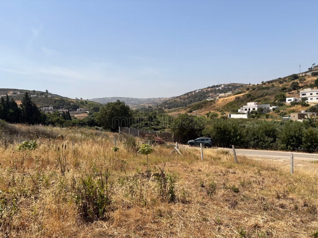 Terreno en venta Sidi Khenchouch, entrada Malouza a 500m de la carretera regional, con un área de 3600m², titulado