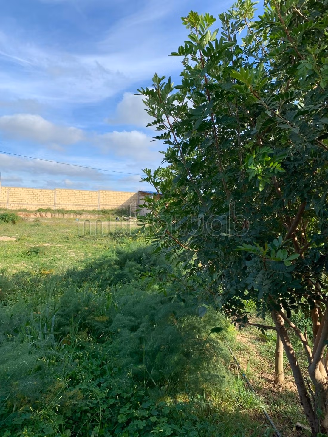 Terreno en venta en Hozia. Superficie total 2900 m²