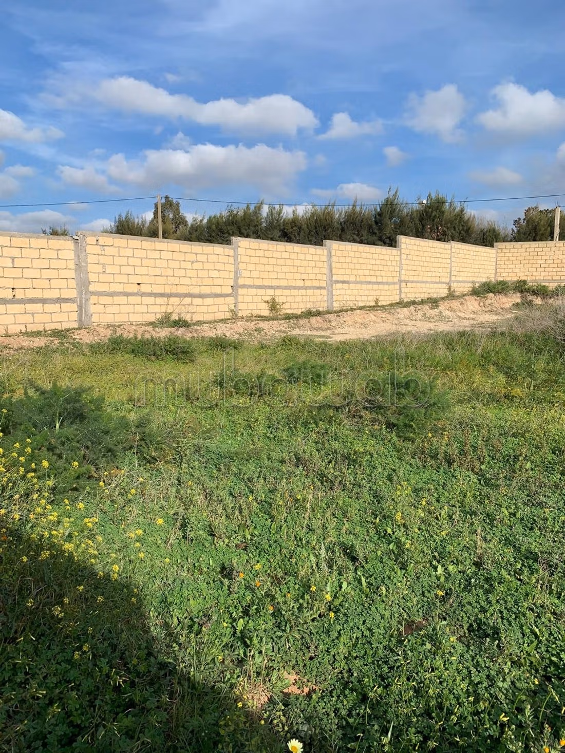 Terreno en venta en Hozia. Superficie total 2900 m²