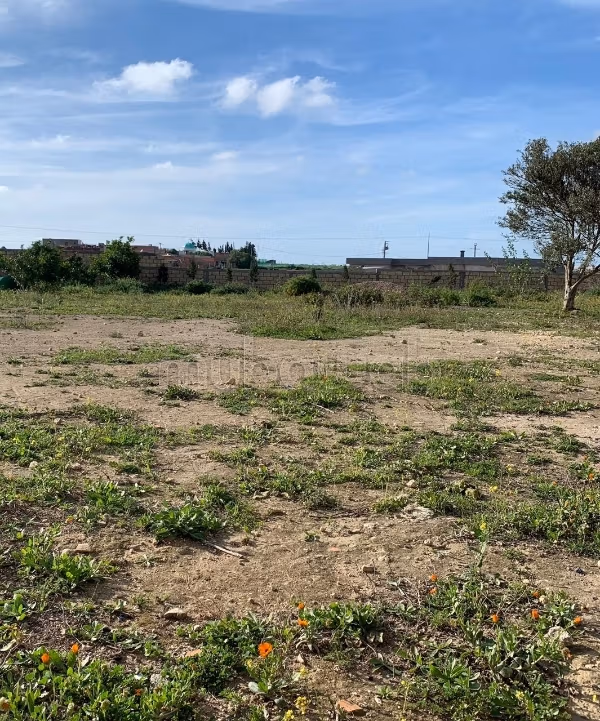 Grond te koop in Hozia. Totale oppervlakte 2900 m²